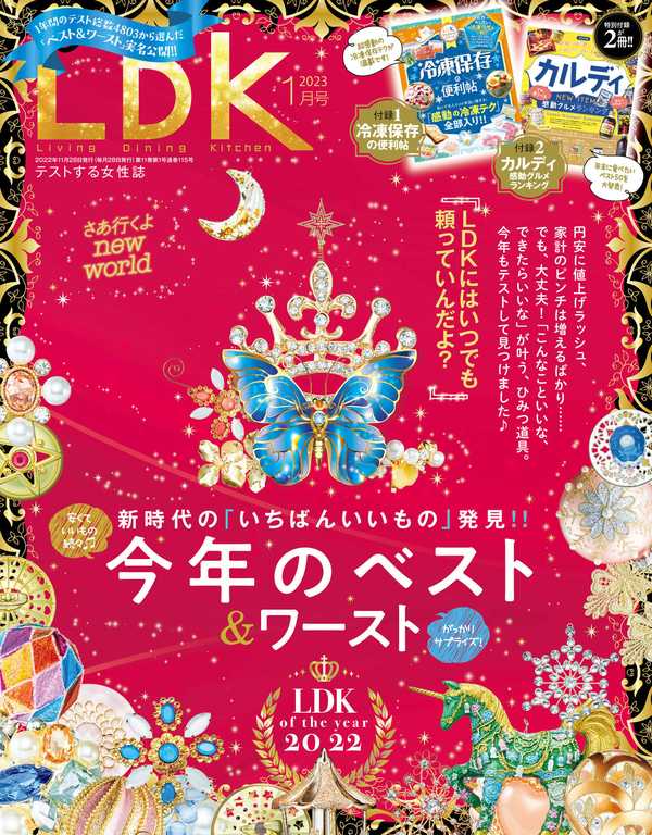 LDK杂志《LDK (エル・ディー・ケー) 2023年1月号》高清全本下载