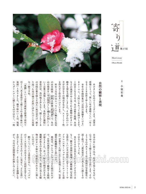 [图片2]-小原流插花杂志《小原流挿花[オハラリュウソウカ]2023年1月号【雑誌】》高清全本下载插图-新杂志-提供高质量日系杂志