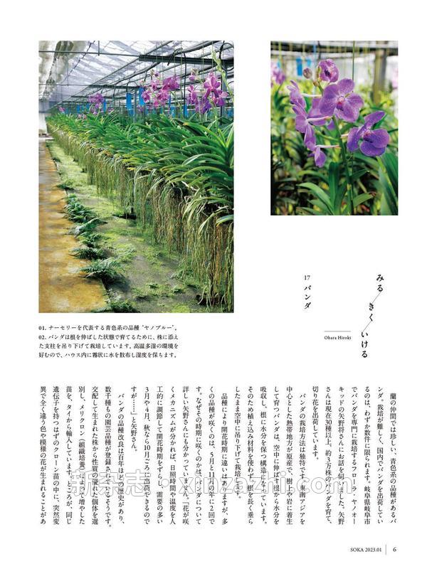 [图片6]-小原流插花杂志《小原流挿花[オハラリュウソウカ]2023年1月号【雑誌】》高清全本下载插图-新杂志-提供高质量日系杂志