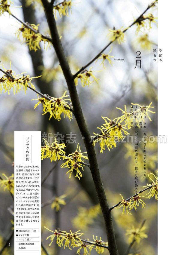 [图片2]-ＮＨＫ 趣味の園芸杂志《ＮＨＫ 趣味の園芸 2023年 2月号 ［雑誌］ (NHKテキスト)》高清全本下载插图-新杂志-提供高质量日系杂志