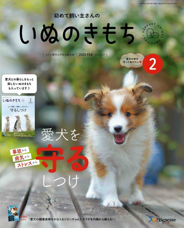 [图片1]-いぬのきもち杂志《こいぬのきもちカレンダー2023 ([カレンダー])》高清全本下载插图-新杂志-提供高质量日系杂志