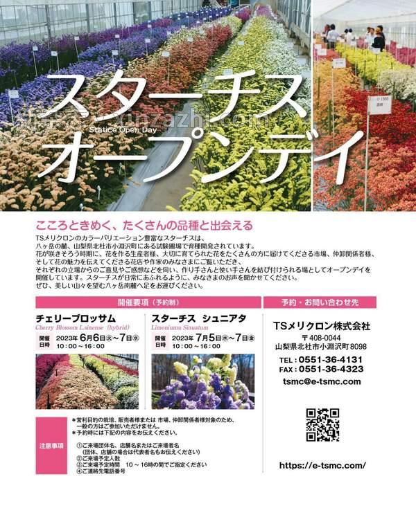 [图片6]-Florist杂志《フローリスト2023年6月号》高清全本下载插图-新杂志-提供高质量日系杂志