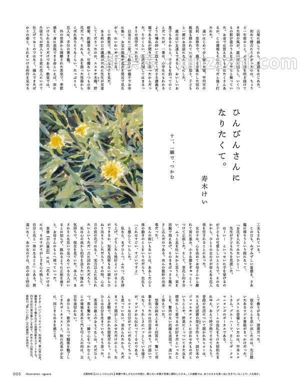 [图片5]-Hanako杂志《Hanako(ハナコ) 2023年 4月号 [沖縄・春の旅]》高清全本下载插图-新杂志-提供高质量日系杂志