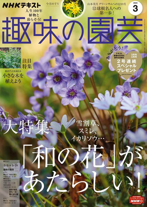 ＮＨＫ 趣味の園芸杂志《ＮＨＫ 趣味の園芸 2023年 3月号 ［雑誌］ (NHKテキスト)》高清全本下载