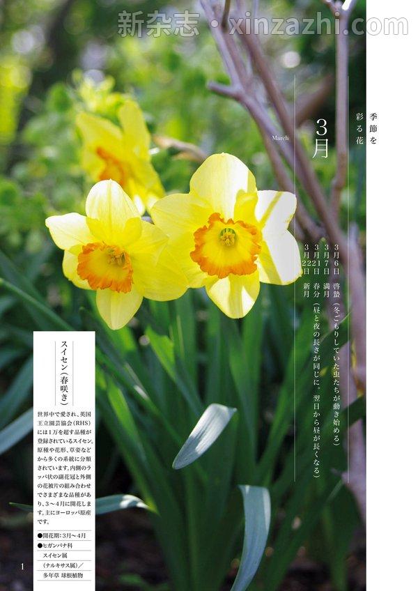 [图片2]-ＮＨＫ 趣味の園芸杂志《ＮＨＫ 趣味の園芸 2023年 3月号 ［雑誌］ (NHKテキスト)》高清全本下载插图-新杂志-提供高质量日系杂志