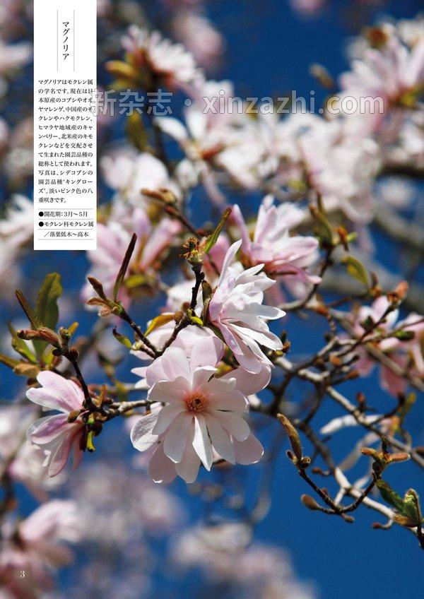 [图片4]-ＮＨＫ 趣味の園芸杂志《ＮＨＫ 趣味の園芸 2023年 3月号 ［雑誌］ (NHKテキスト)》高清全本下载插图-新杂志-提供高质量日系杂志