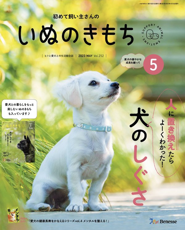 [图片1]-いぬのきもち杂志《Wan 2023年 7月号(特集：愛犬とこの夏を満喫するための暑さ対策ガイド／もっと愛されペチャになる！)》高清全本下载插图-新杂志-提供高质量日系杂志