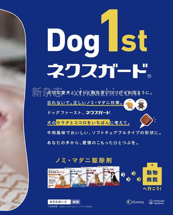 [图片4]-いぬのきもち杂志《Wan 2023年 7月号(特集：愛犬とこの夏を満喫するための暑さ対策ガイド／もっと愛されペチャになる！)》高清全本下载插图-新杂志-提供高质量日系杂志