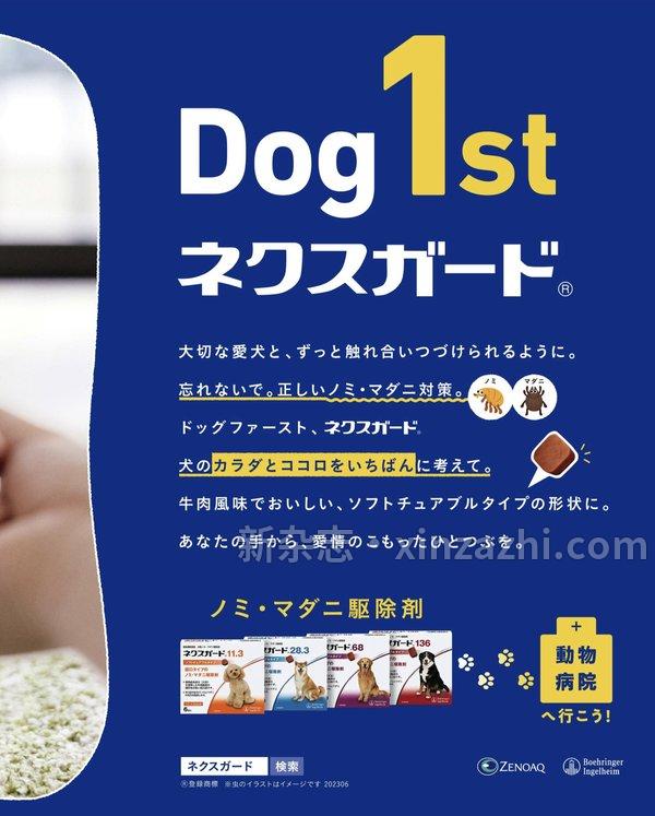 [图片4]-いぬのきもち杂志《Wan 2023年 7月号(特集：愛犬とこの夏を満喫するための暑さ対策ガイド／もっと愛されペチャになる！)》高清全本下载插图-新杂志-提供高质量日系杂志