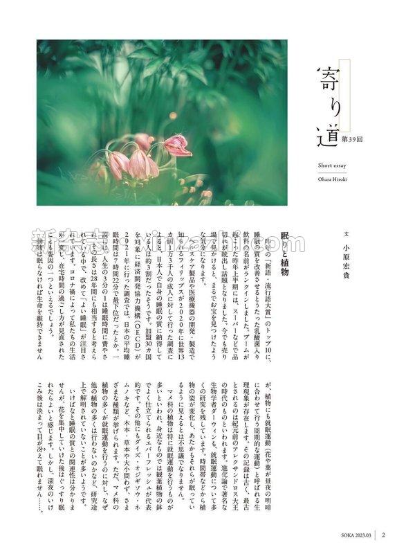 [图片2]-小原流插花杂志《小原流挿花[オハラリュウソウカ]2023年3月号【雑誌】》高清全本下载插图-新杂志-提供高质量日系杂志