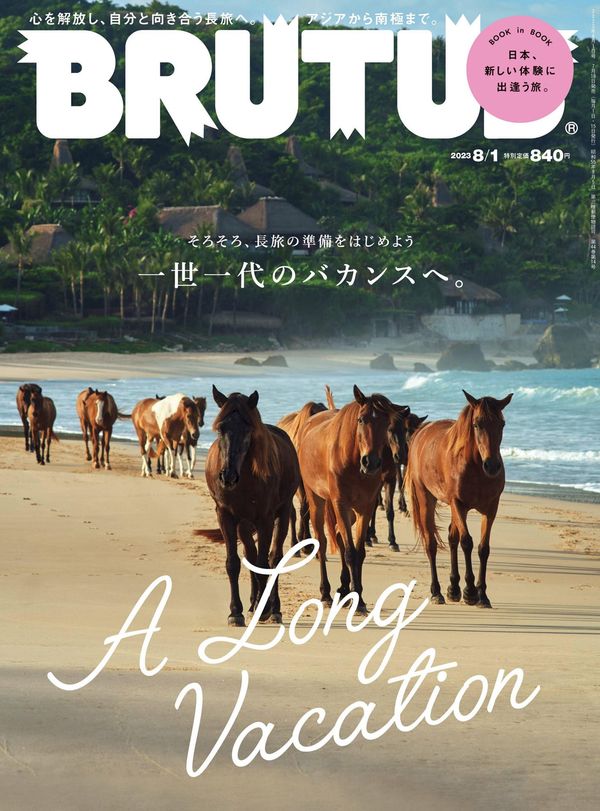 BRUTUS杂志《BRUTUS(ブルータス) 2023年 8月1日号 No.989 [A Long Vacation]》高清全本下载