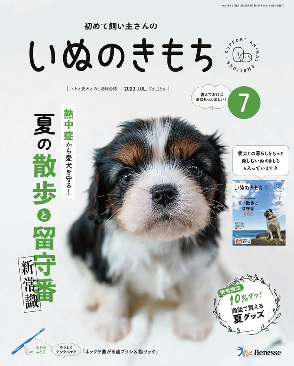 [图片1]-いぬのきもち杂志《Wan 2023年 7月号(特集：愛犬とこの夏を満喫するための暑さ対策ガイド／もっと愛されペチャになる！)》高清全本下载插图-新杂志-提供高质量日系杂志