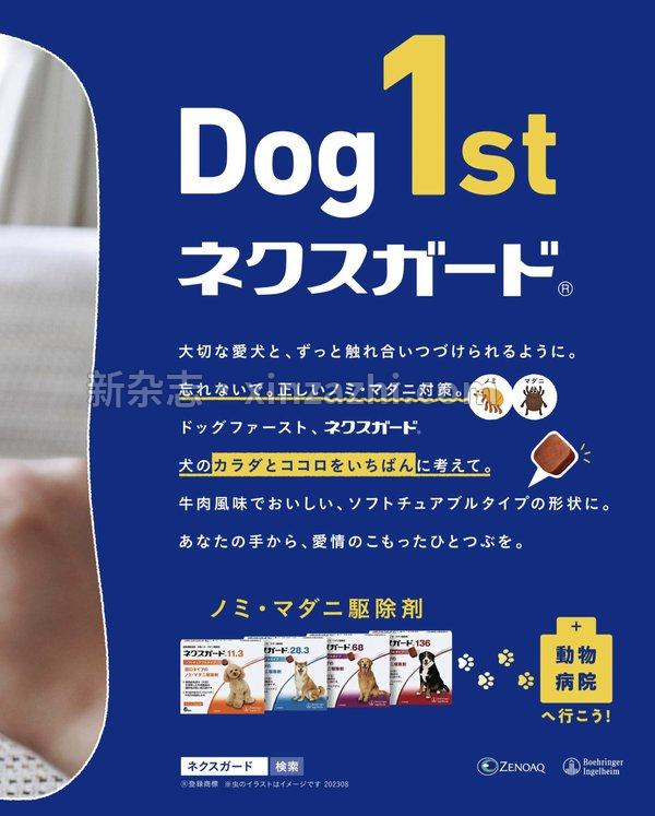 [图片4]-いぬのきもち杂志《Wan 2022年 9月号 (特集:ジャック・ラッセル・テリア)》高清全本下载插图-新杂志-提供高质量日系杂志