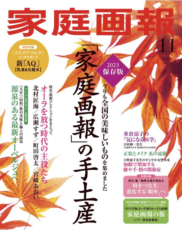 家庭画报杂志《家庭画報 2023年11月号》高清全本下载