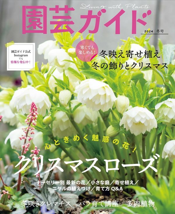 [图片1]-園芸ガイド杂志《園芸ガイド　2024年　01月　冬号》高清全本下载插图-新杂志官网