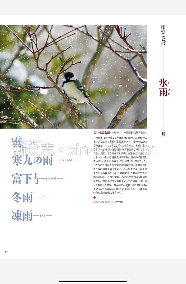 [图片4]-家庭画报杂志《家庭画報 2024年1月号》高清全本下载插图-新杂志官网